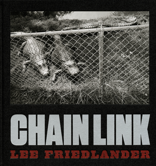 Double Elephant - Lee Friedlander, Walker Evans, Garry